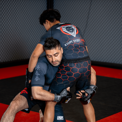 mma, mixed martial arts
