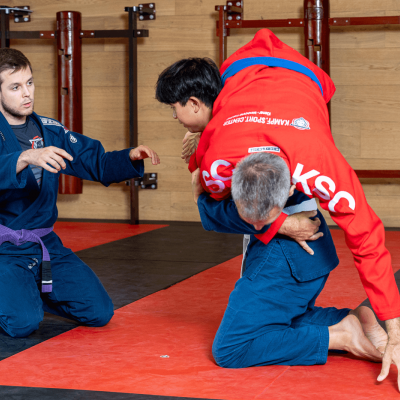 bjj erwachsene, bjj kinder, brazilian jiu jitsu, brazilian jiu jitsu erwachsene, brazilian jiu jitsu kinder